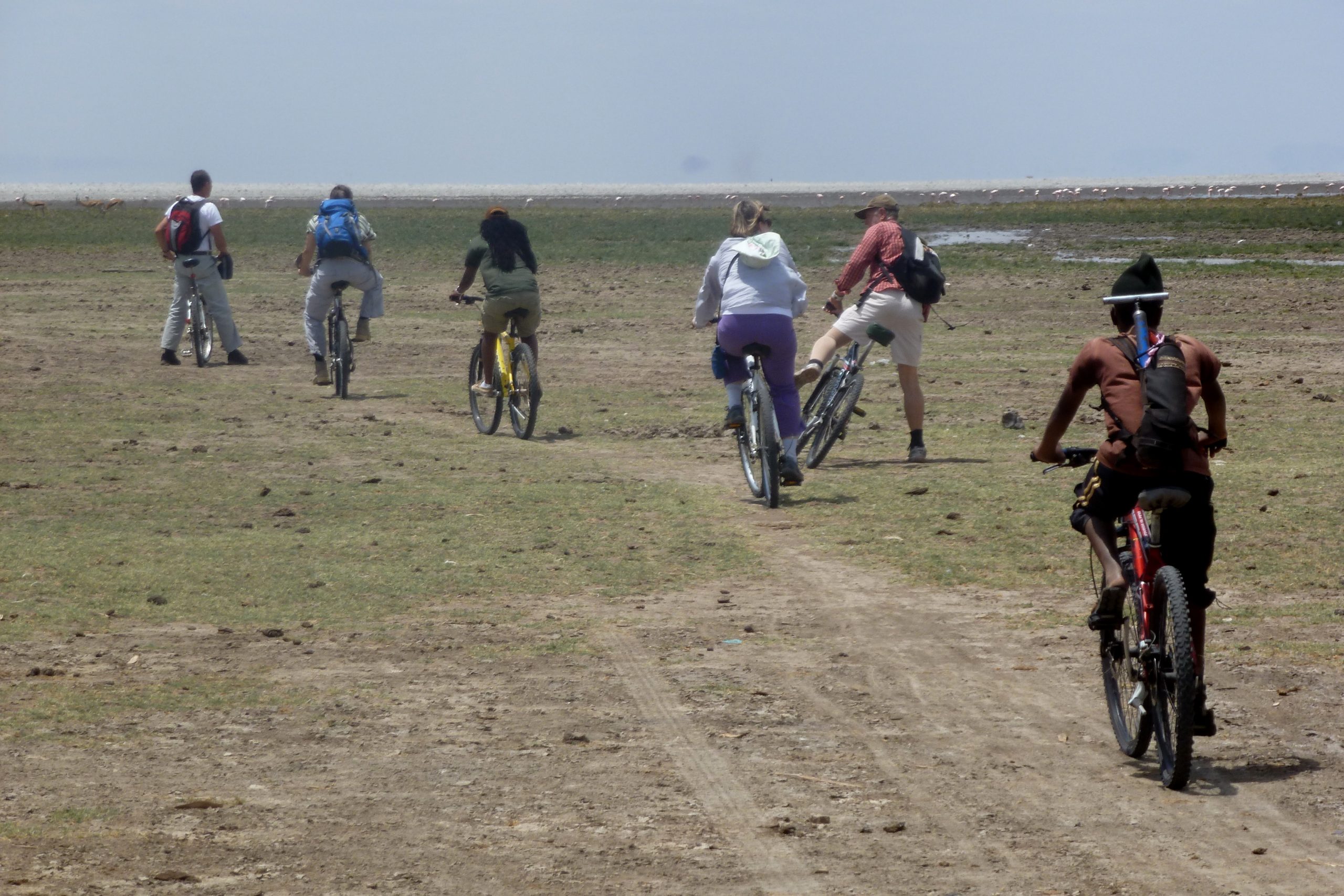 cycle tours