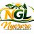 Nyerere Green Lodge