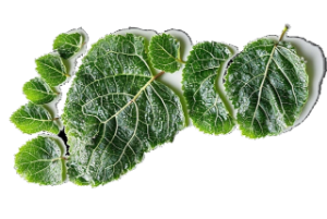 eco lodges in Tanzania